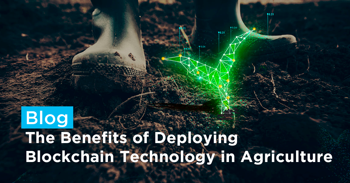 Blockchain in Agriculture: Growing Better Systems